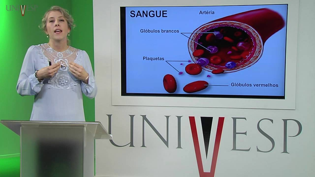 Corpo Humano: Órgãos e Sistemas - Aula 09 - Aspectos anatomofuncionais do sistema cardiovascular