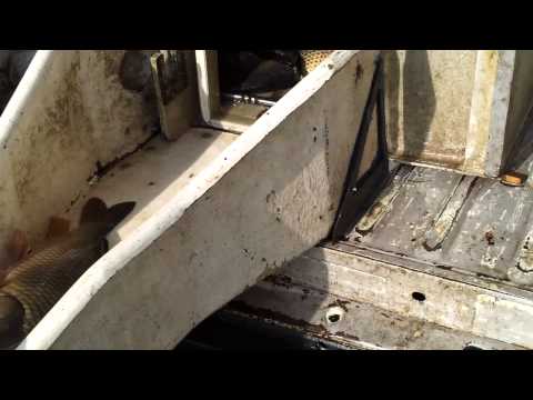 populare cu pesti la padureni 05-11-2012