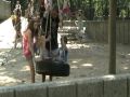 The Salatos In Central Park Part 14