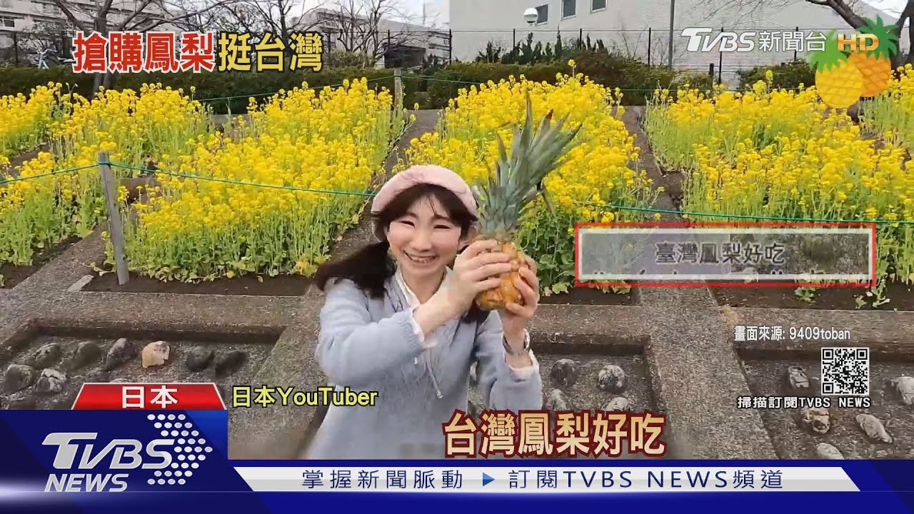 挺台灣！　日網紅創作歌手寫「台鳳梨之歌」