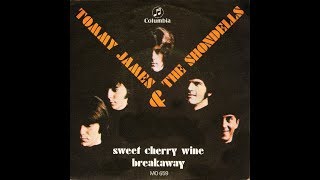 Tommy James &amp; The Shondells   &quot;Sweet Cherry Wine&quot; (Enhanced Audio)