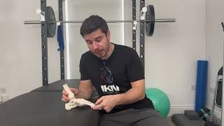 How toe flexion can influence heel motion
