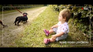 Video Psí Čum Dupalhnátkov 2012