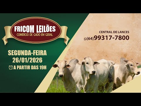 FRICOM LEILÕES 26/01/2026  (HOJE) / AO VIVO - LEILÃO DE GADO DE CORTE - PIRACANJUBA - GO