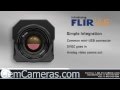FLIR VUE 640 Video #1