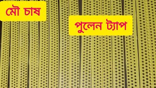 মৌমাছির পুলেন সংগ্রহের ট্যাপ সহ মৌমাছি চাষের সকল যন্ত্রপাতি পেতে যোগাযোগ করুন।