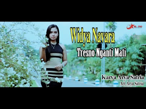 Tresno Nganti Mati Widya Nafara Karya Arya Satria