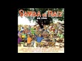 Samba De Raiz  - Vou Festejar