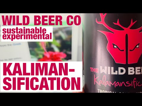 Kalamansification by Wild Beer Co |  Craft Beer Review | Craft Sour Review | Sustainable Beer