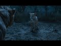 Mufasa The Lion King Sarabi And Zazu I 4K Ultra HD