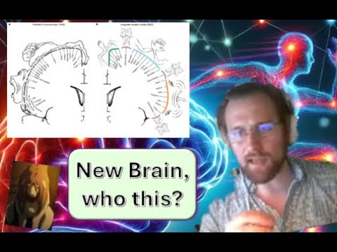 Somato-Cognitive Action Network: A New Homunculus in the Motor Cortex | MLBBQ | Theodore LaGrow