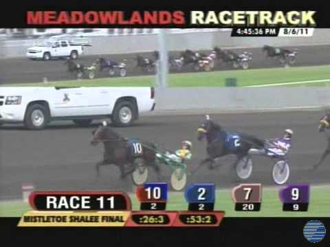 2011 Mistletoe Shalee - theharnessedge.com