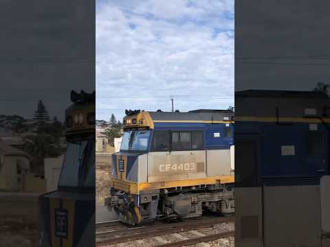 5 locos including CF4403 leading 6PM9 through Murray Bridge