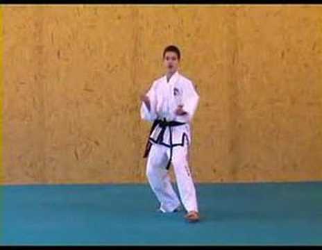 ITF Taekwon-Do Patterns (9 of 14) Toi-Gae