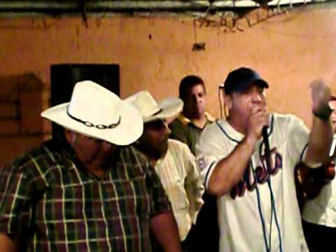 viaje del tigre honenaje a mama pancha 1