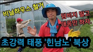 태풍과 맞서면? 책임 못집니다!!