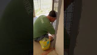 Video preview image #1 Chiweenie Puppy For Sale in San Antonio, TX, USA