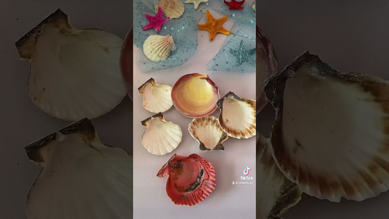 Summer 2023🧜🏻‍♀️🐚✨#summer #shell #seashell #candle #diy #mermaid #coquette #cottagecore #crafts