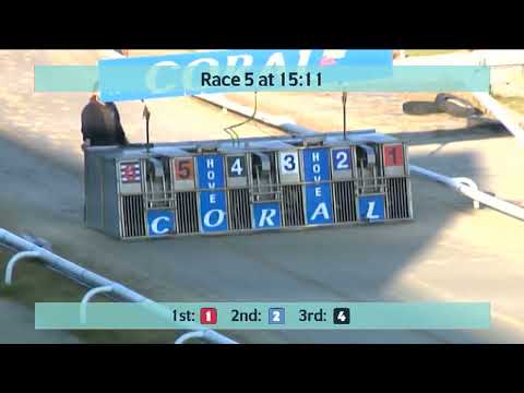 Wednesday 8th February 2023