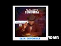 Naloti Lumumba By Methya Bd Audio