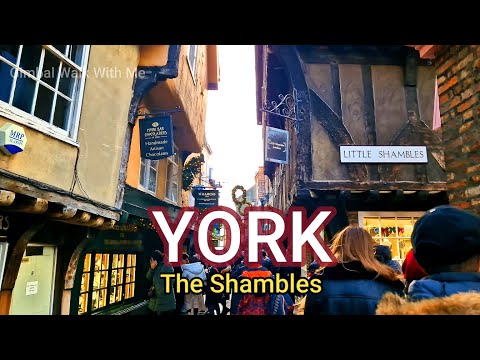 York Gimbal camina conmigo a The Chambles :)