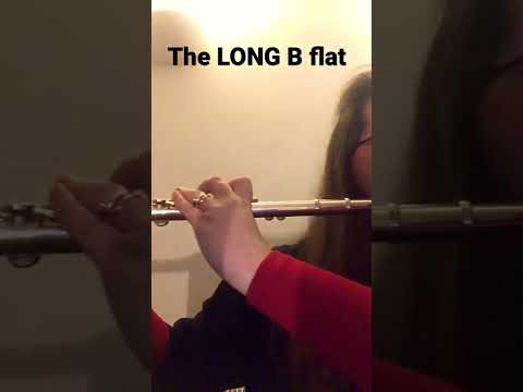 The LONG Bb- Flute fingering for the note B flat.   #learnflute #howtoplaytheflute