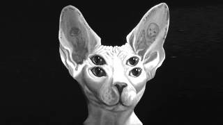 The Renderers - a little to the left