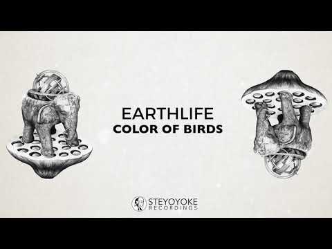 EarthLife - Color Of Birds (Original Mix) | Steyoyoke