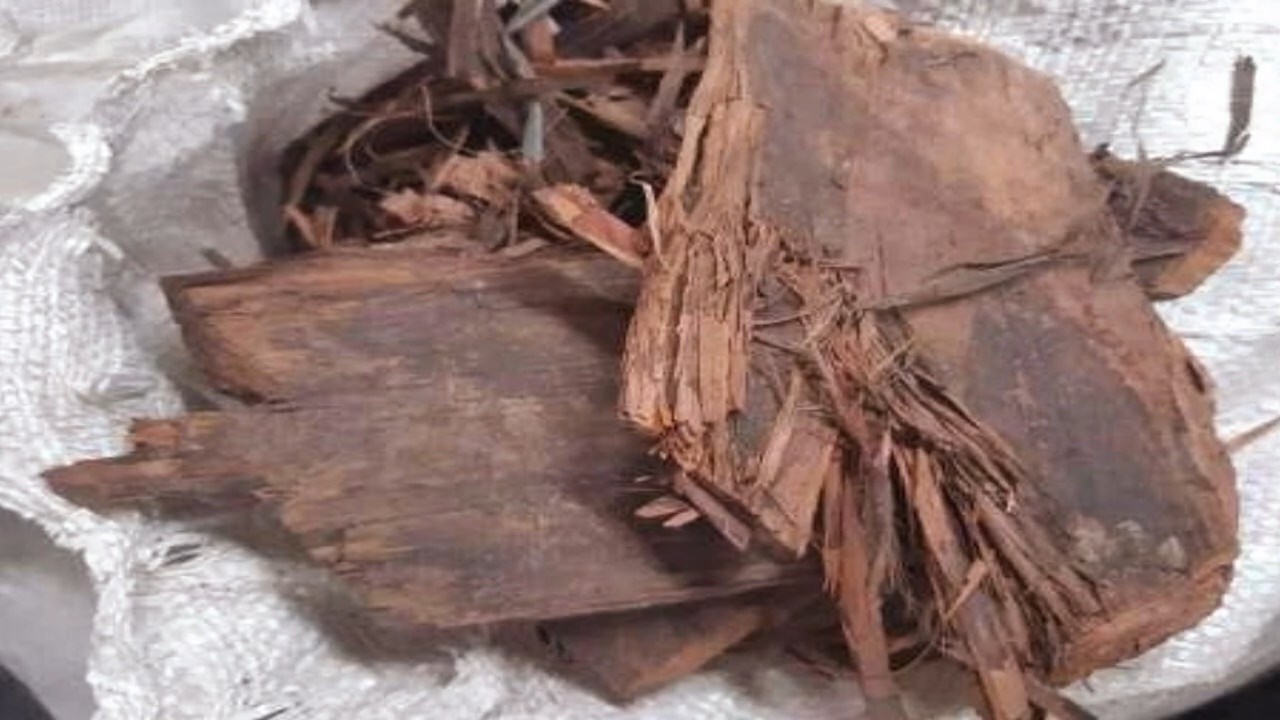 Melhora a Visão, Combate Cistos, Úlceras, Erisipela, Feridas... #Remédio 💖 MARILENE SARAH FIALHO