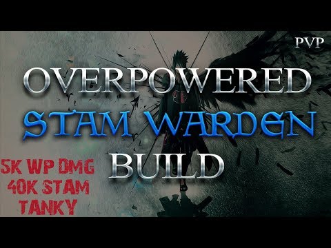 OVERPOWERED STAMINA WARDEN BUILD - SUMMERSET / WOLFHUNTER META [ INSANE DAMAGE + SUSTAIN ] | DragooX