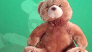 angel corpus christi - (Let Me Be Your) Teddy Bear