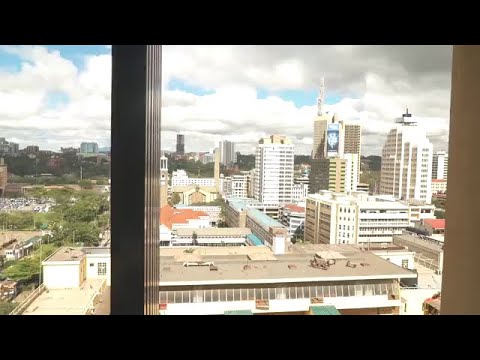 SAP Business One version for SAP HANA powers Hashi Energy’s continued expansion