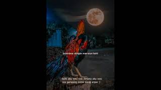 Download lagu story WA 30 detik terbaru ll rembulan malam mp3