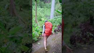 Download lagu Camp di Tempat Paling Angker - Gunung Argopuro mp3 Download lagu Camp di Tempat Paling Angker - Gunung Argopuro mp3