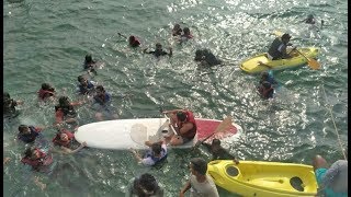 Adventure Boat Tour in Goa Best Tour with Kayaking