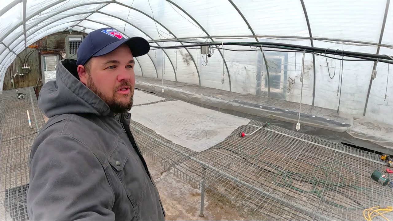 Greenhouse life is getting busy