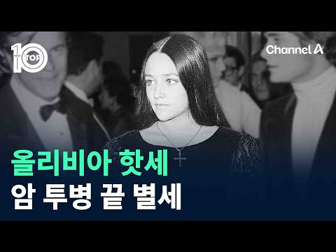 아이콘