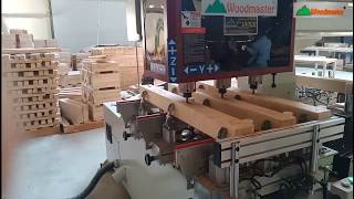 MỘNG ÂM CNC 3 ĐẦU WOODMASTER KHOAN LỖ, ĐỤC MỘNG ÂM, CHẠY RÃNH ...