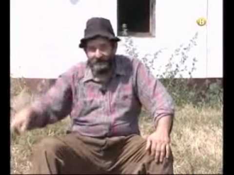 Gojko Todorovic Jedan lep narodni obicaj iz Backe