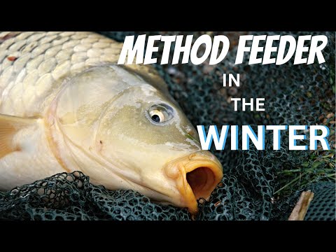 METHOD FEEDER FISHING IN THE WINTER - ESSENTIAL ITEMS OF FISHING TACKLE