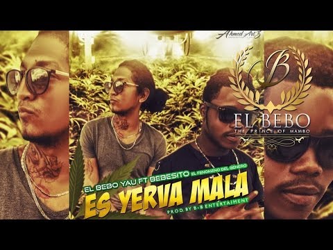 Es Yerba Mala (Audio) - El Bebo Yau Ft. Bebesito El Fenomeno