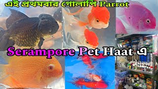 এই প্রথমবার গোলাপি পোলার Parrot | Serampore Fish Haat | Aquarium Plants | Aquarium Accessories 