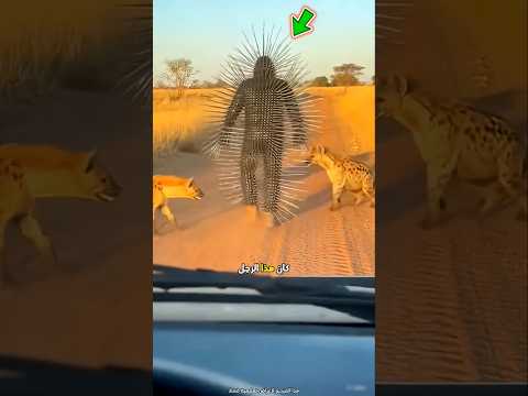 هذا الرجل اشترى بدلة غريبة 😮 #shorts