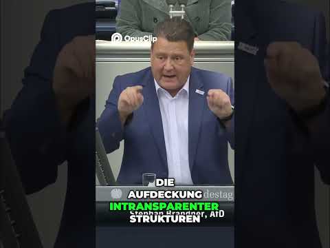 Bollwerk gegen Links im Bundestag! #afd #news #geldpolitik #abonnieren #deutsch #viralvideo #europa