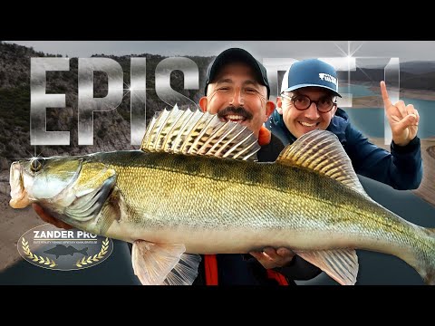 ZANDER PRO 3 - EPISODE 1