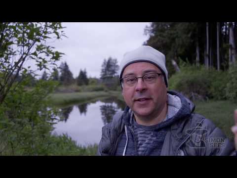 Camping and RVing in BC