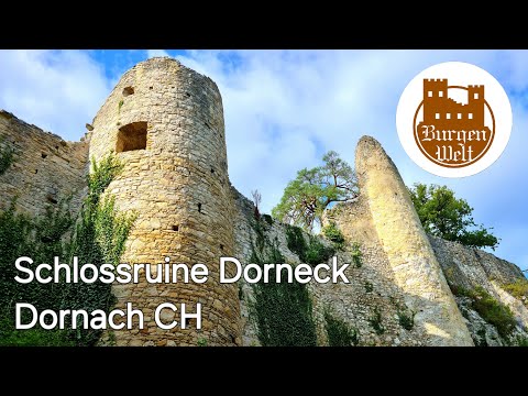 Schlossruine Dorneck - Dornach (Schweiz) | Burgruine | Castle | Chateau