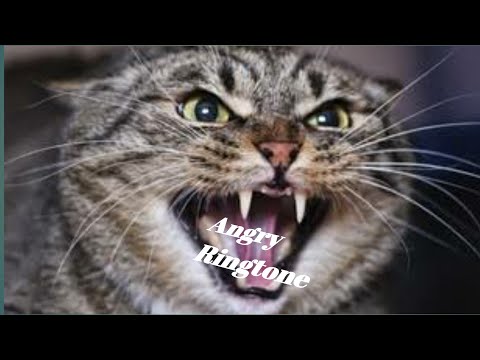 Angry Cat sound mobile ringtone mp3 /Cat new mobile ringtone 2021