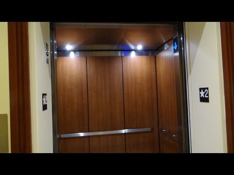 BRAND NEW Otis HydroFit Elevator at Maria & Enzo's Ristorante, Disney Springs, Lake Buena Vista, FL