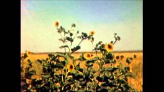 Pedestrian - All&#39;s Well That Ends Well